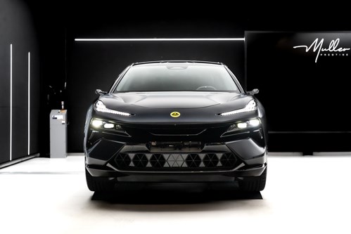 Lotus Eletre noire-091