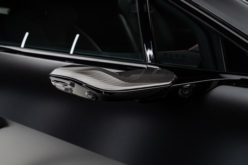 Lotus Eletre noire-113