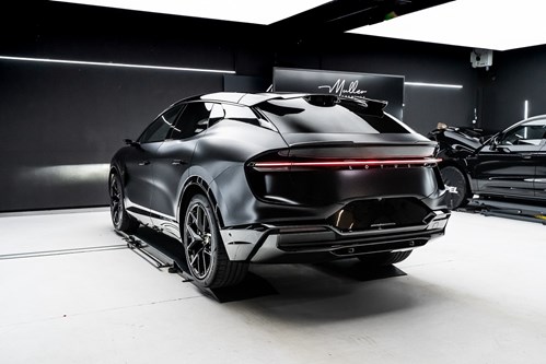 Lotus Eletre noire-144