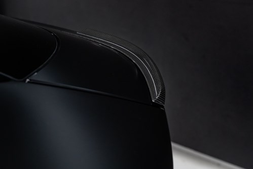 Lotus Eletre noire-106