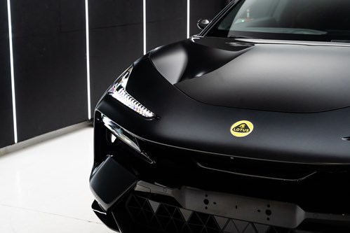 Lotus Eletre noire-094