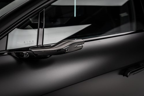 Lotus Eletre noire-098