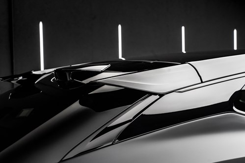 Lotus Eletre noire-137