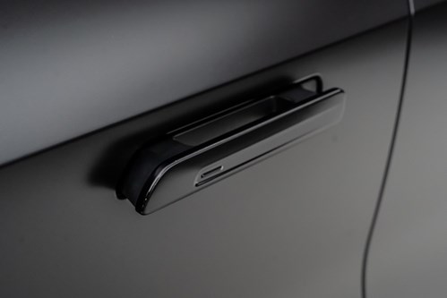 Lotus Eletre noire-099