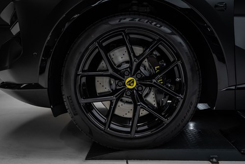 Lotus Eletre noire-103