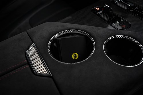 Lotus Eletre noire-125