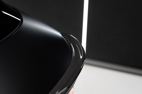 Lotus Eletre noire-110