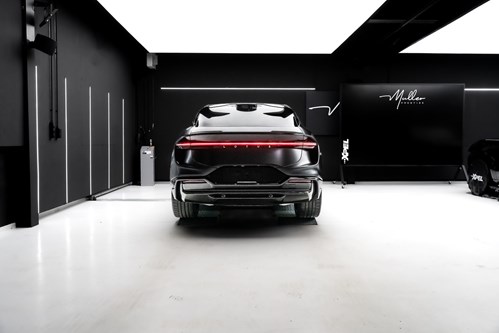 Lotus Eletre noire-134