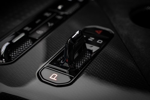 Lotus Eletre noire-079