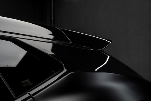 Lotus Eletre noire-105